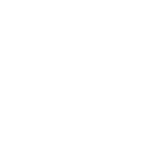 vegoevents.in
